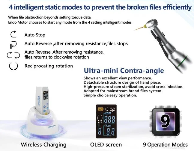 R-Smart Mini Cordless Dental Handpiece Endo Motor Instrument